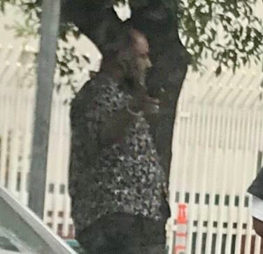 Se medio confunde con el tronco, pero ahí está, el "Señor Gorila" de Tránsito Monterrey. Foto Luis Gerardo Treviño.