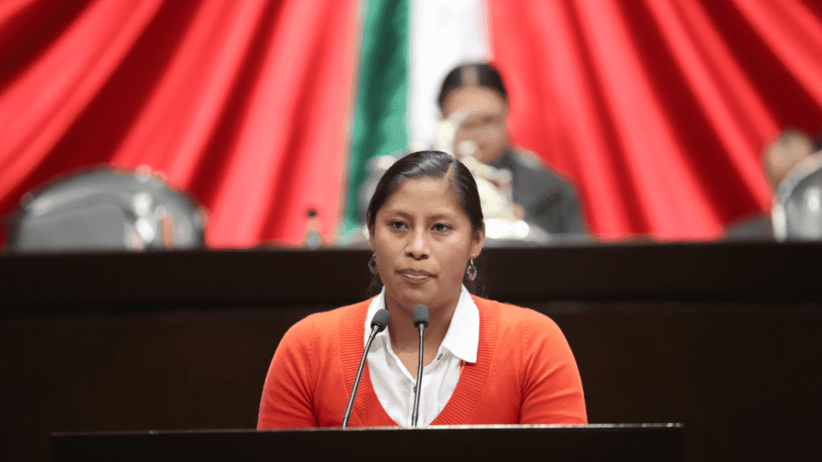 La diputada Reyna Celeste de la banca de Morena en tribuna. Foto: Cámara de Diputados