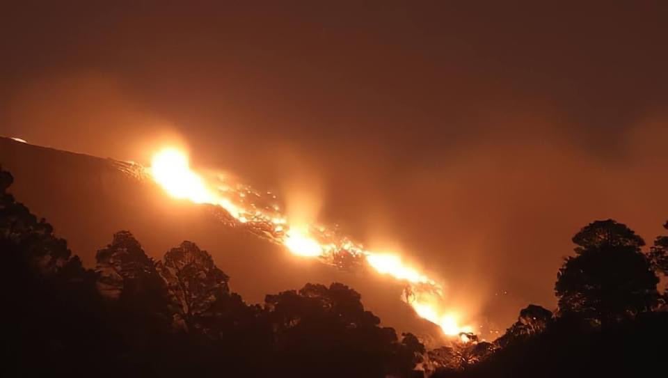 Este es el primer incendio forestal de la temporada. Foto: @mexnewz