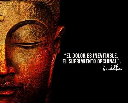 Foto tomada de la red.