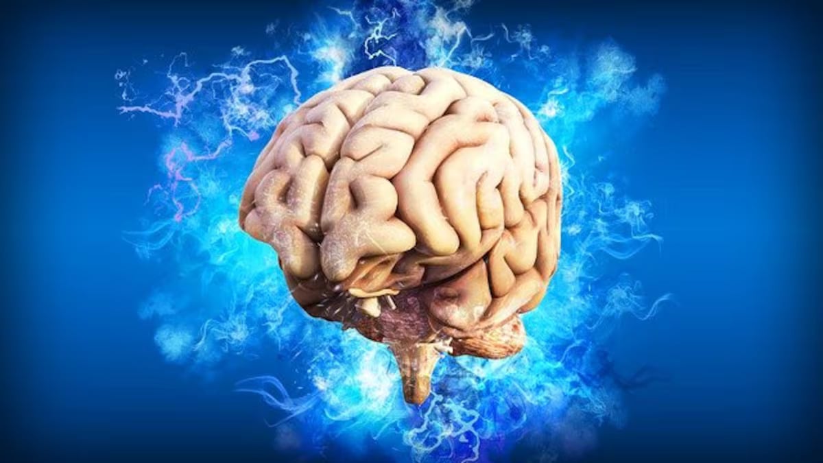 Un cerebro o mente conectada a circuitos o raíces. Revolución digital o cognitiva, transformación interna. Cambios profundos en la forma de pensar y de vivir. (Pixabay)