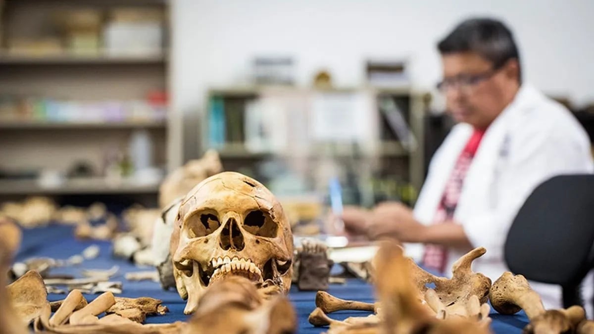 Día del Antropólogo