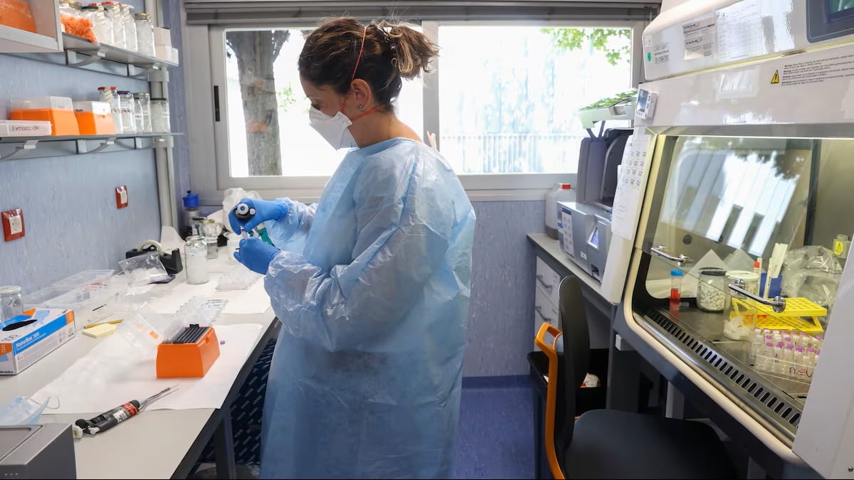 Foto tomada de la red