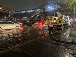 Foto tomada de la red