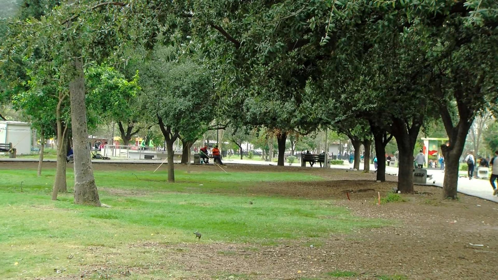 A las seis se vende la fuerza; en la noche, el anonimato.