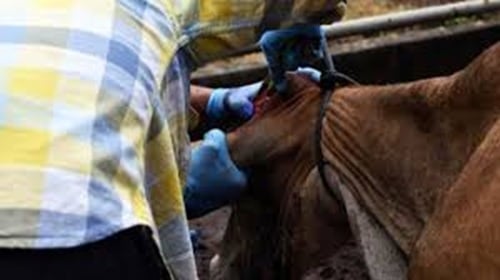 Foto tomada de la red