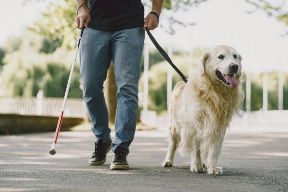  Dia Internacional del  Perro Guía 