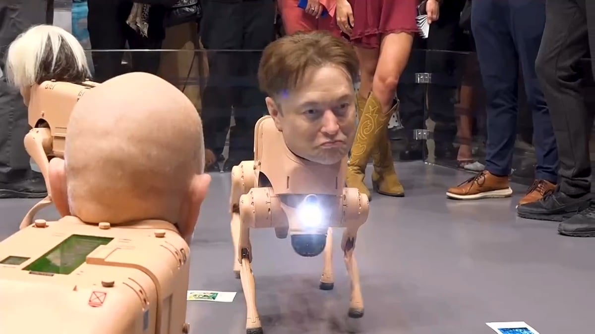 Perros Robots en Berlín