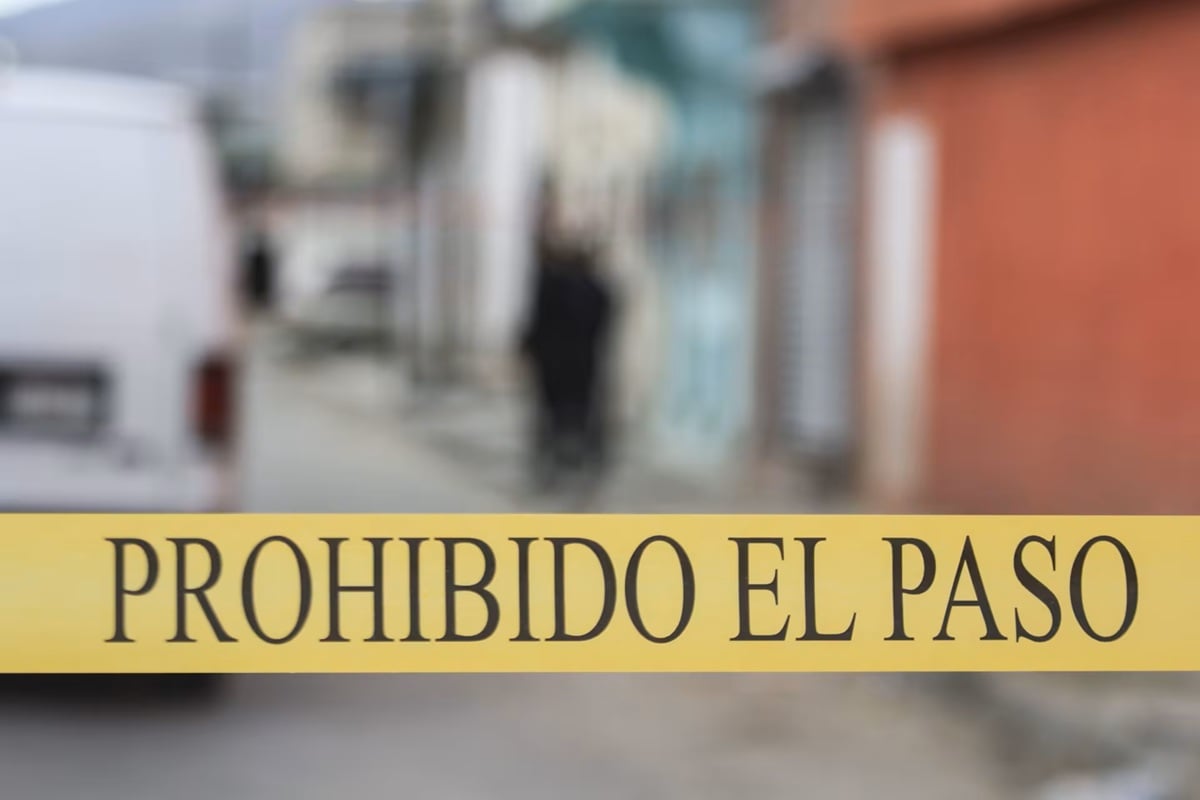 Foto: El Financiero