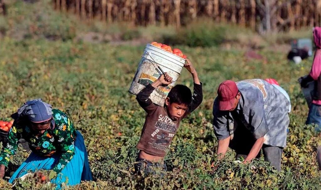 Día Mundial contra el Trabajo Infantil