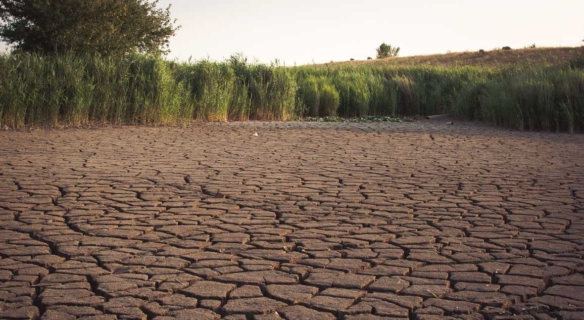 Día Mundial de Lucha contra la Desertificación y la Sequía