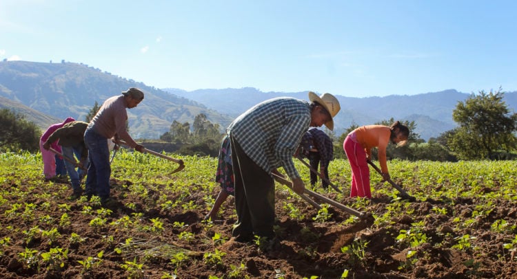 Día Mundial del Desarrollo Rural