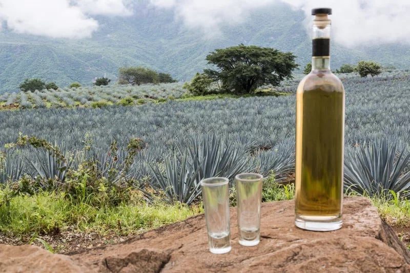 Día Internacional del Tequila, foto tomada de la red.