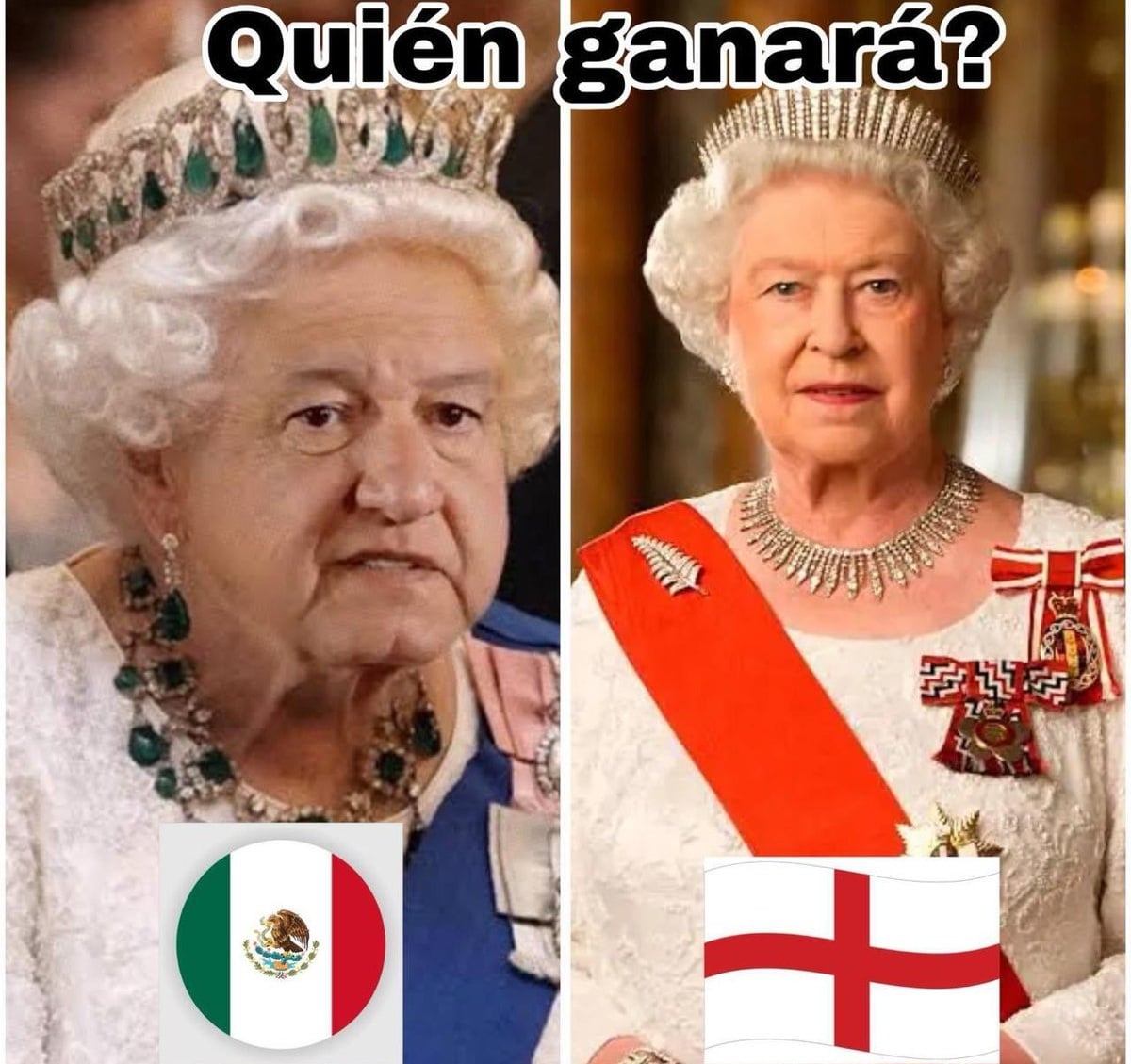 Memes en la red