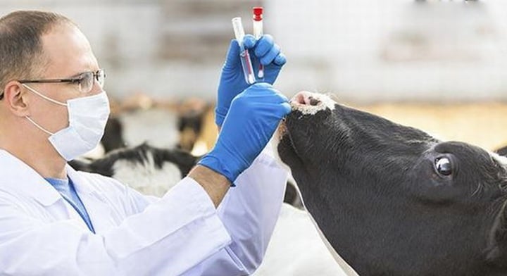 Día del Veterinario Zootecnista
