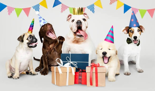 Dia del Perro
