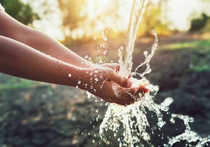 Día Interamericano del Agua