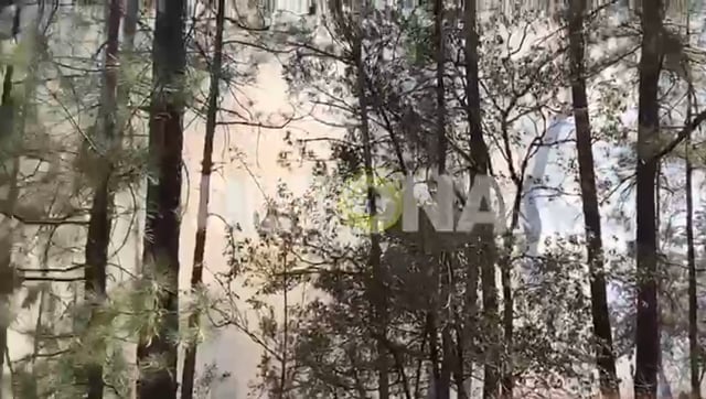 ¿Y si le prendemos fuego a las 20 hectáreas para comprarlas más baratas?