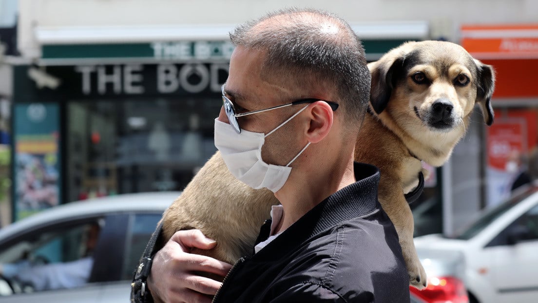Un hombre con tapabocas, pasea a su mascota por las calles de Madrid, España. Foto tomada de la red.