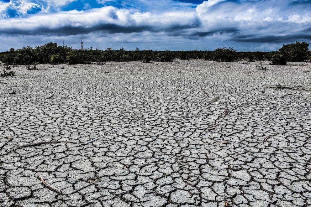 Tierras flacas en Nuevo León por la sequía
