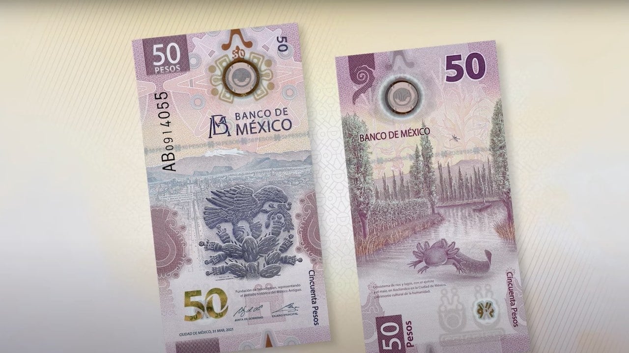 Foto: Banxico