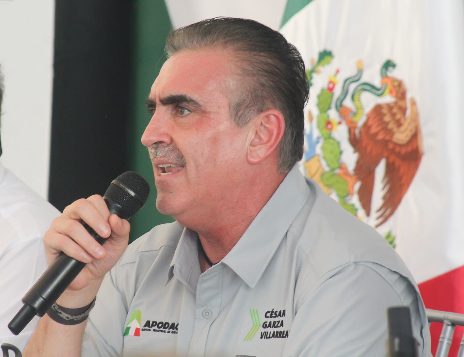 Gobierno de Apodaca