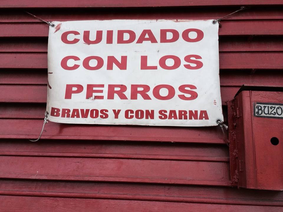 Los inquisidores tratan a los chateros como perros de rancho: los amarran en las fiestas y los sueltan en las broncas. Foto por DETONA, captada en una casa del barrio Tampiquito, de SPGG.