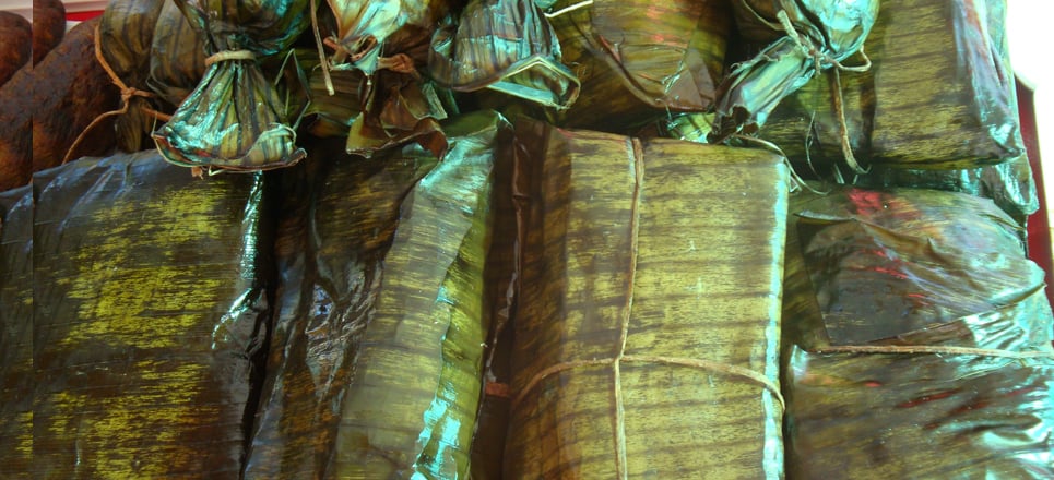 Xóchitl Gálvez y los mugrosos tamales tabasqueños