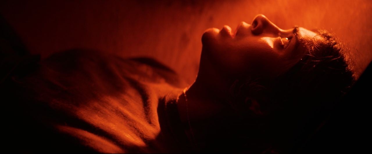 Foto tomada de la red.