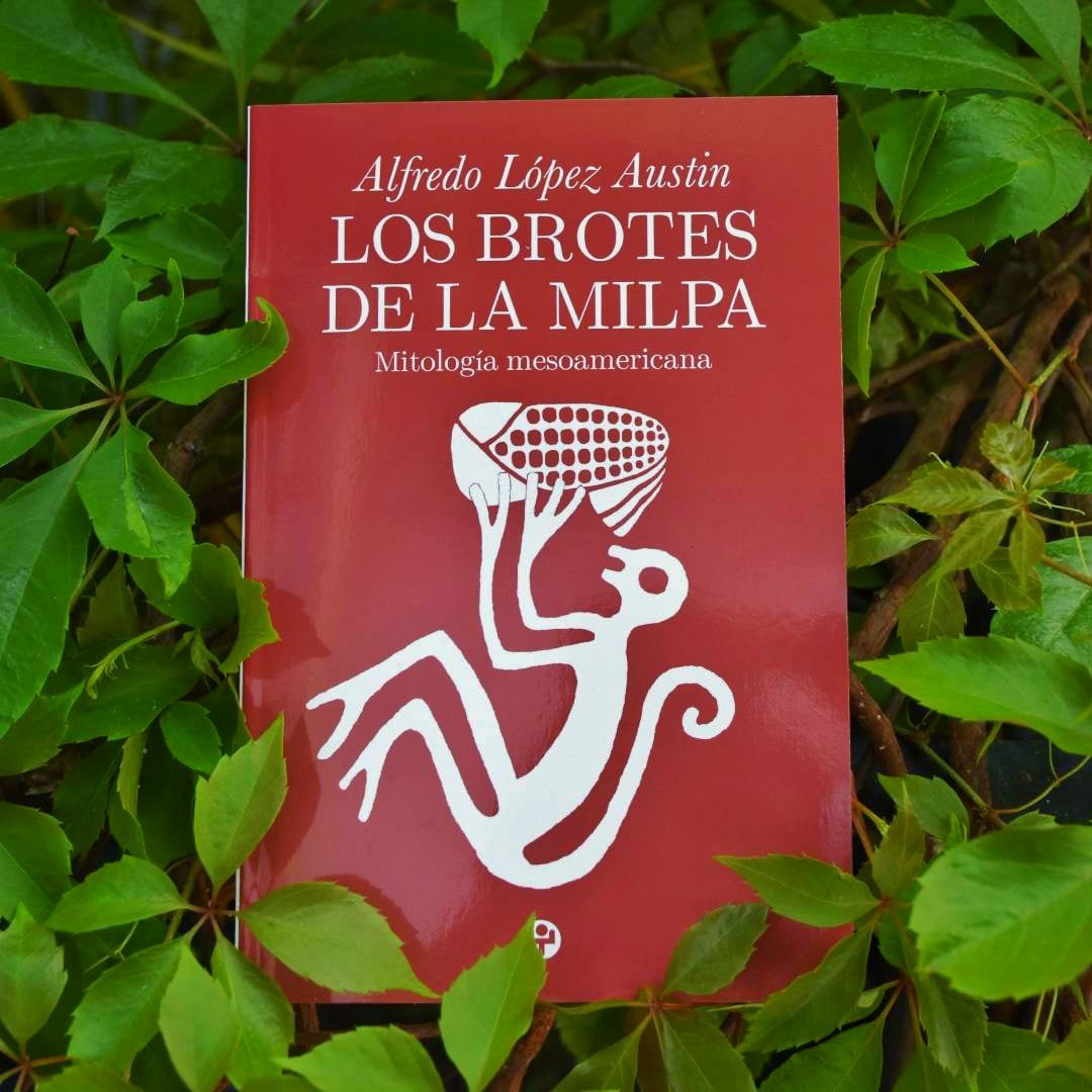 Los brotes de la milpa de ALFREDO LÓPEZ AUSTIN