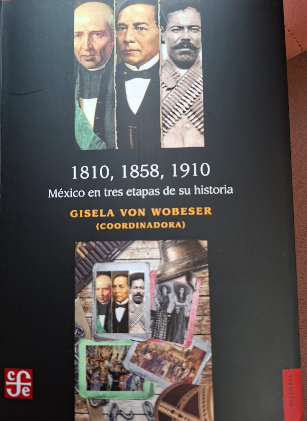 Gisela Von Wobeser, Coordinadora del libro.