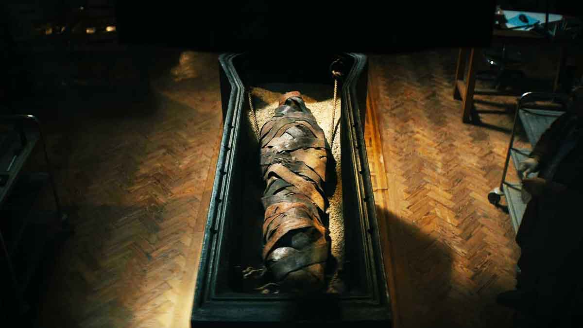 Foto tomada de la red.