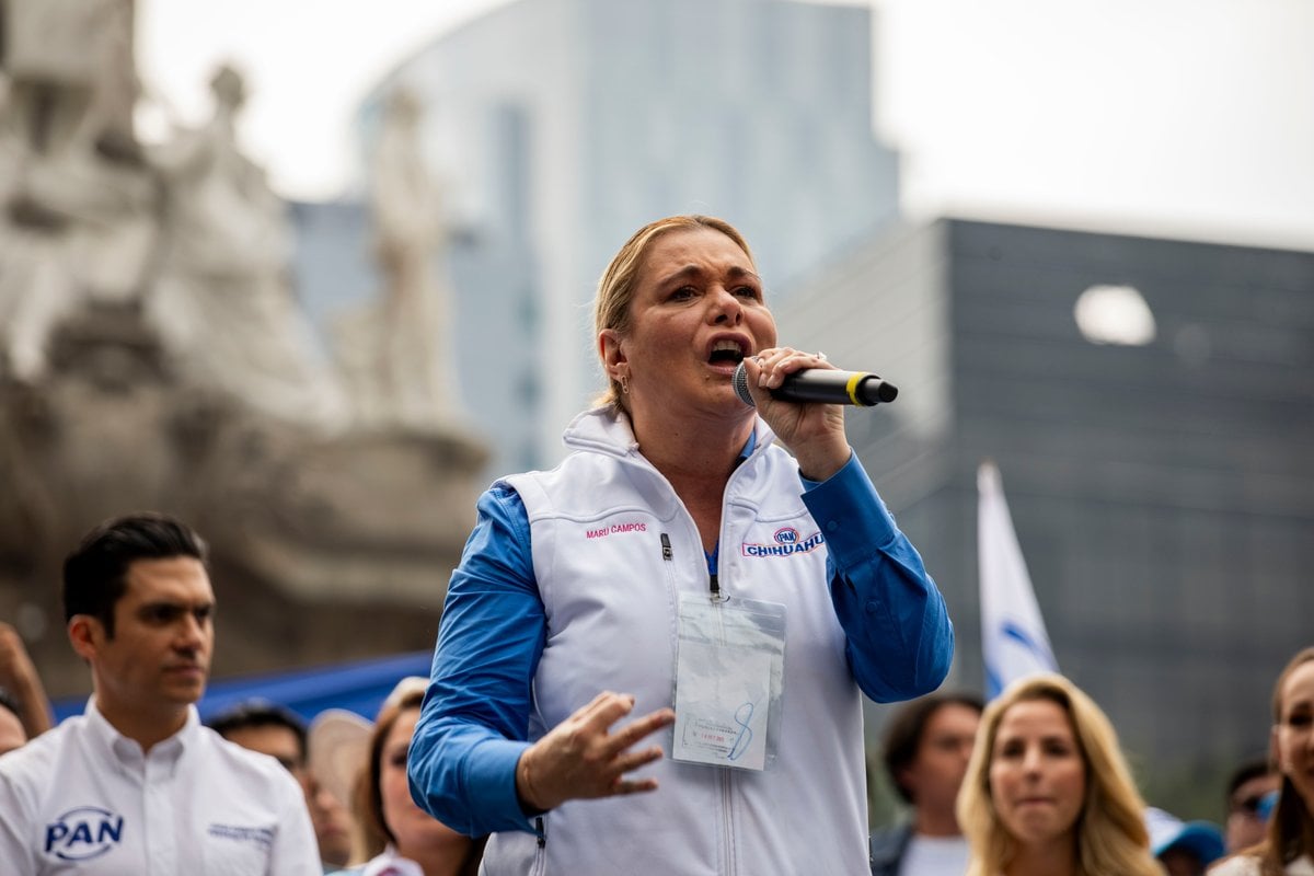 No vamos hoy al Senado