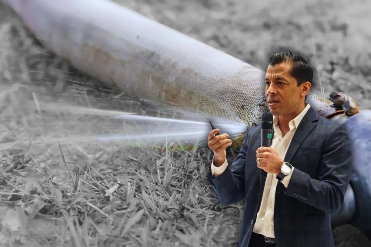 Director de Agua y Drenaje de Monterrey, Eduardo Ortegón