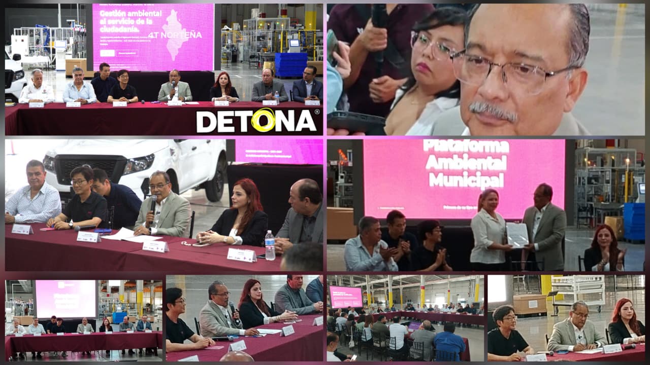 Diseño: Grupo DETONA®.
