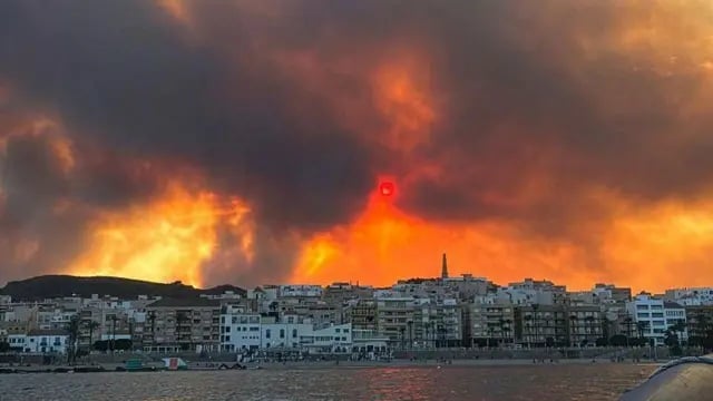 Incendio en Almería: al menos 12 muertos y 23 desaparecidos en el fuego.