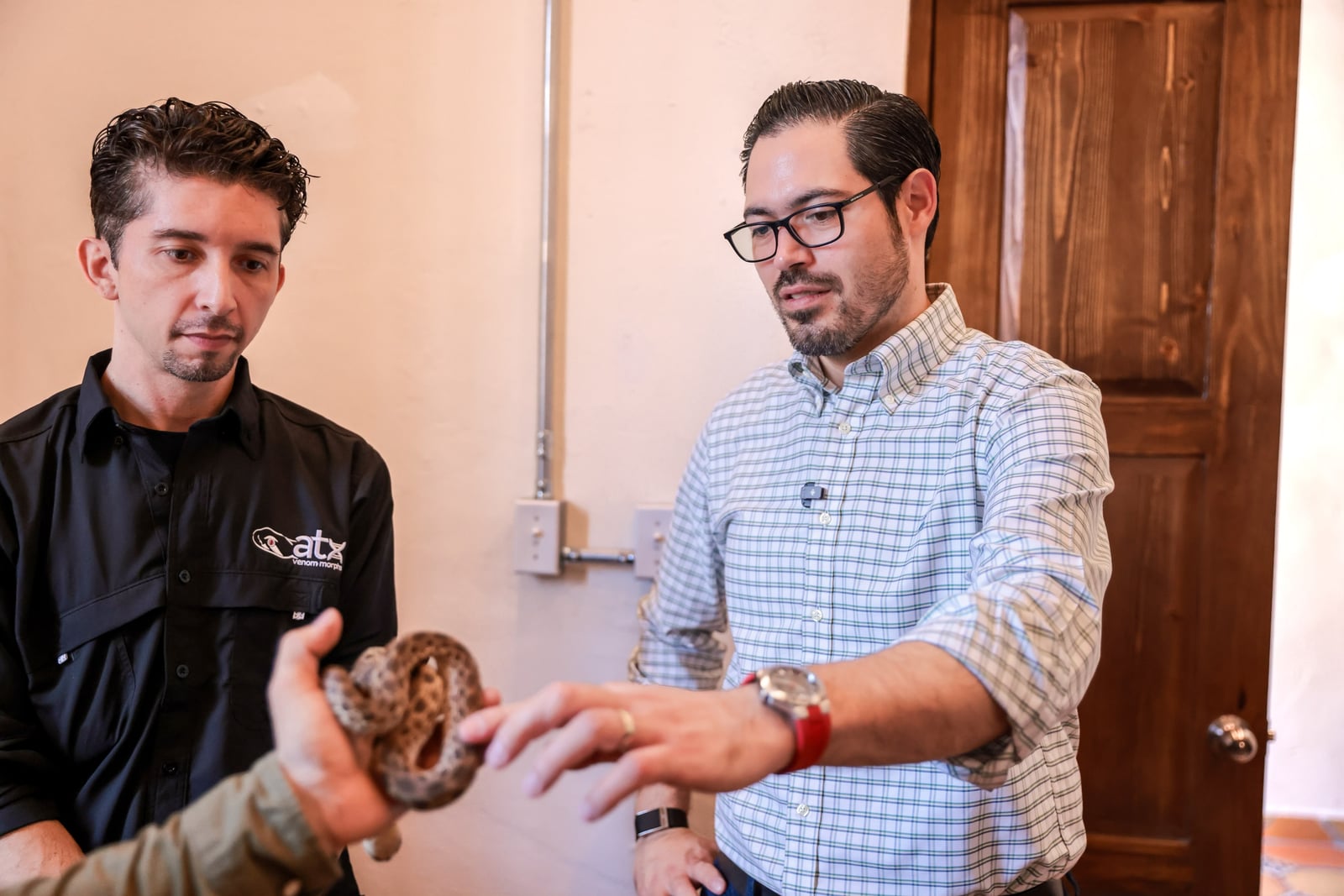 David de la Peña encabeza el arranque del 5° festival mexicano de las serpientes