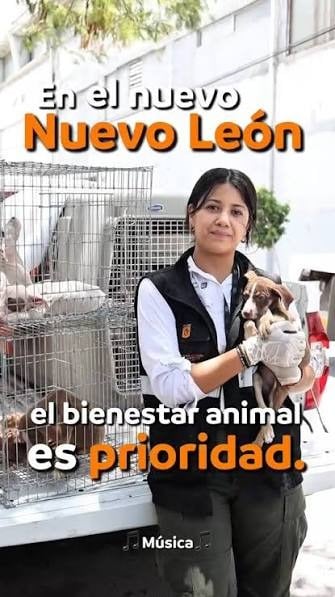 Foto: cortesía.