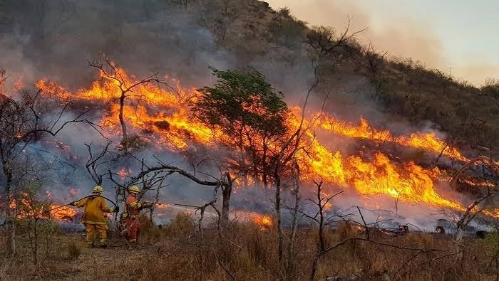 Día Mundial de la Prevención de Incendios Forestales