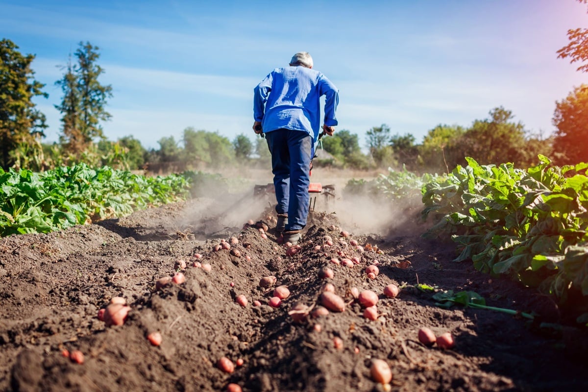 Día Mundial de la Agricultura